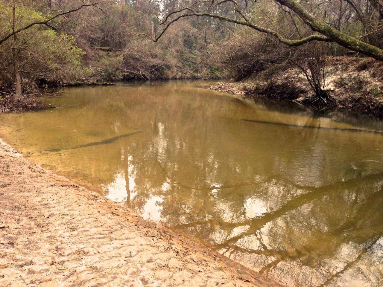 The River Chalet Folsom Εξωτερικό φωτογραφία